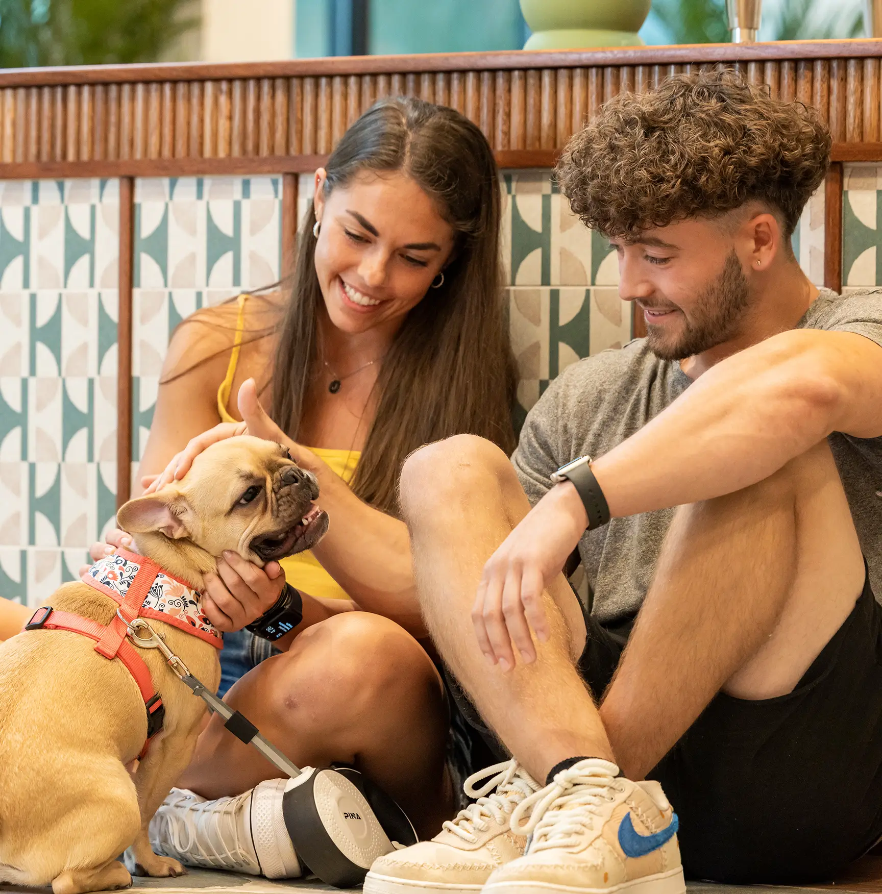 friends and dog