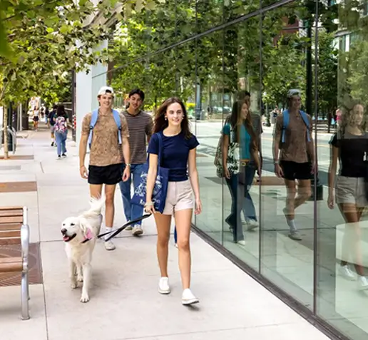 a woman walking a dog outside